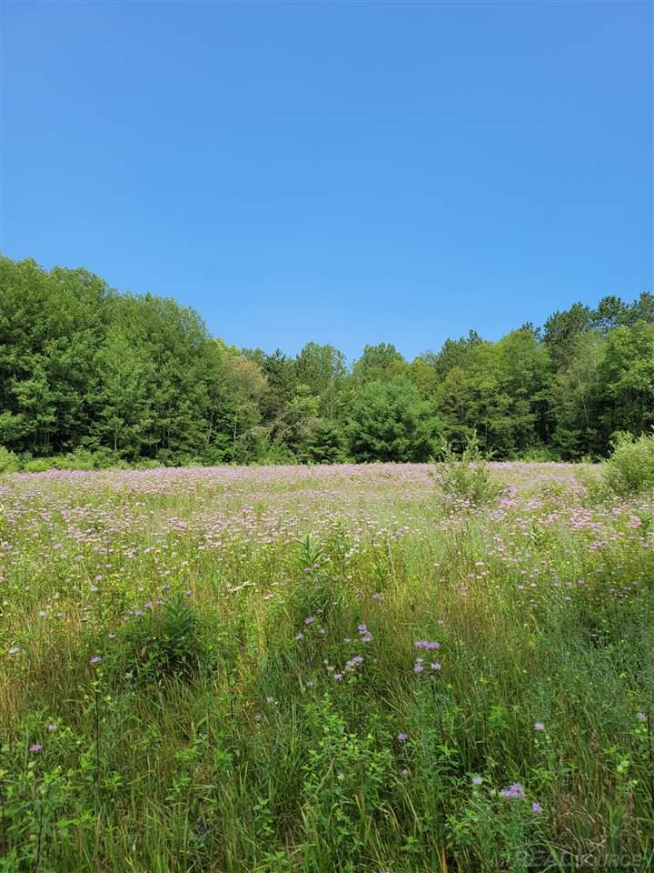420 Ross Road Barton City, MI 48705 - Photo 37 of 67 50082714-36.JPG