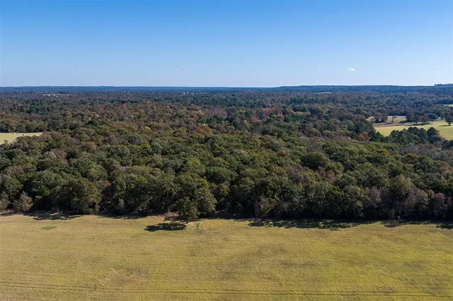 $349,900 | 13793 An County Road 404, Palestine, TX 75803