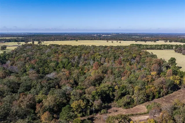 $349,900 | 13793 An County Road 404, Palestine, TX 75803