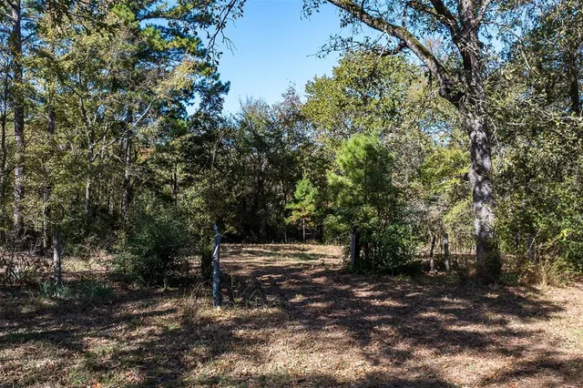 $349,900 | 13793 An County Road 404, Palestine, TX 75803