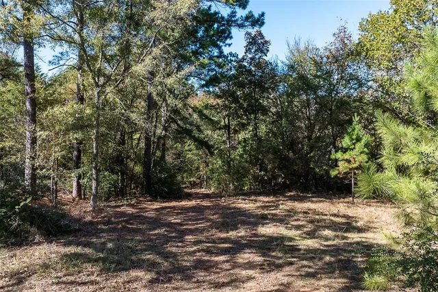 $349,900 | 13793 An County Road 404, Palestine, TX 75803