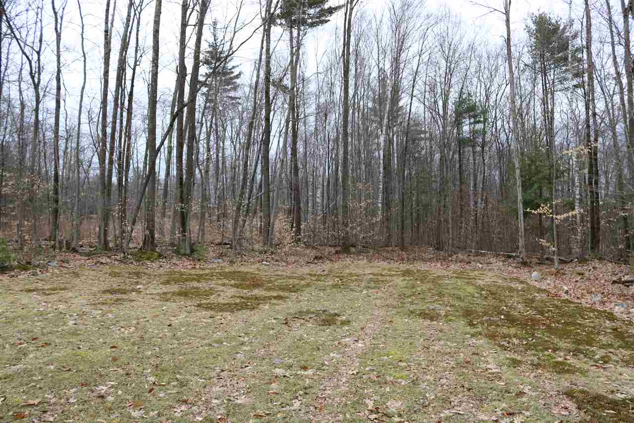 577 North Birch Hill Road Brandon, VT 05733 - Photo 18 of 19