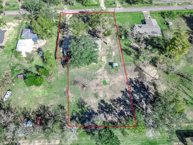 a view of a garden with a tree