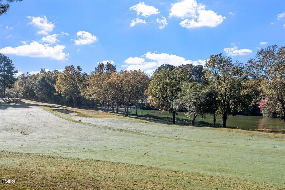 1317 Colonial Club Road Wake Forest, NC 27587 - Photo 66 of 76 66-Heritage NA_05
