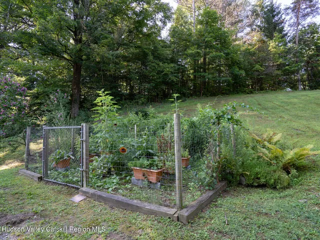 a view of a backyard