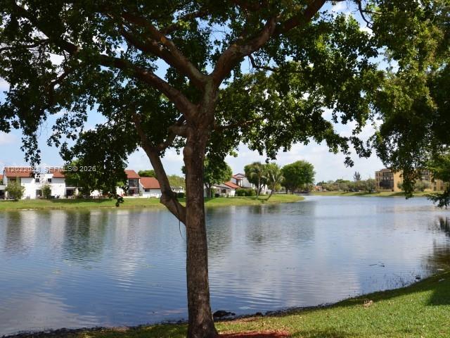 a view of a lake from a yard