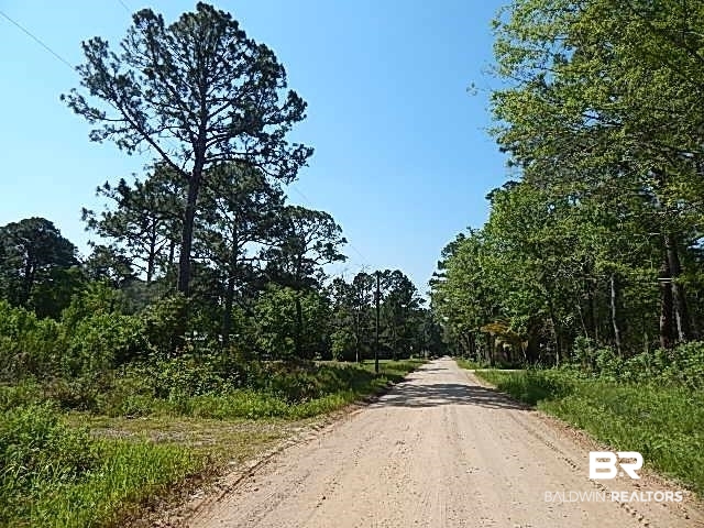 15875 Williams Street Coden, AL 36523 - Photo 2 of 15
