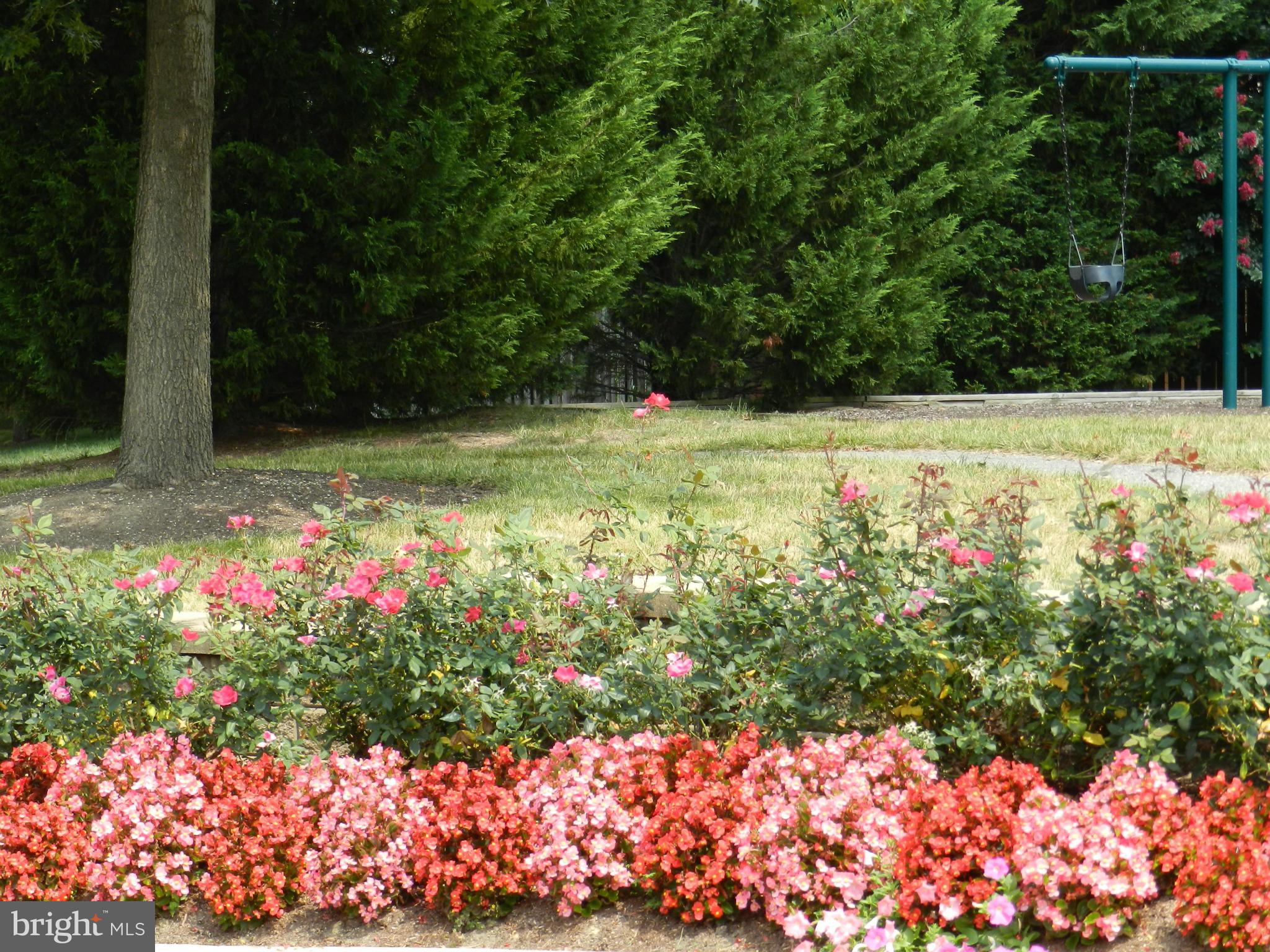 14113 Parker Farm Way Silver Spring, MD 20906 - Photo 28 of 29 Gorgeous Landscaping