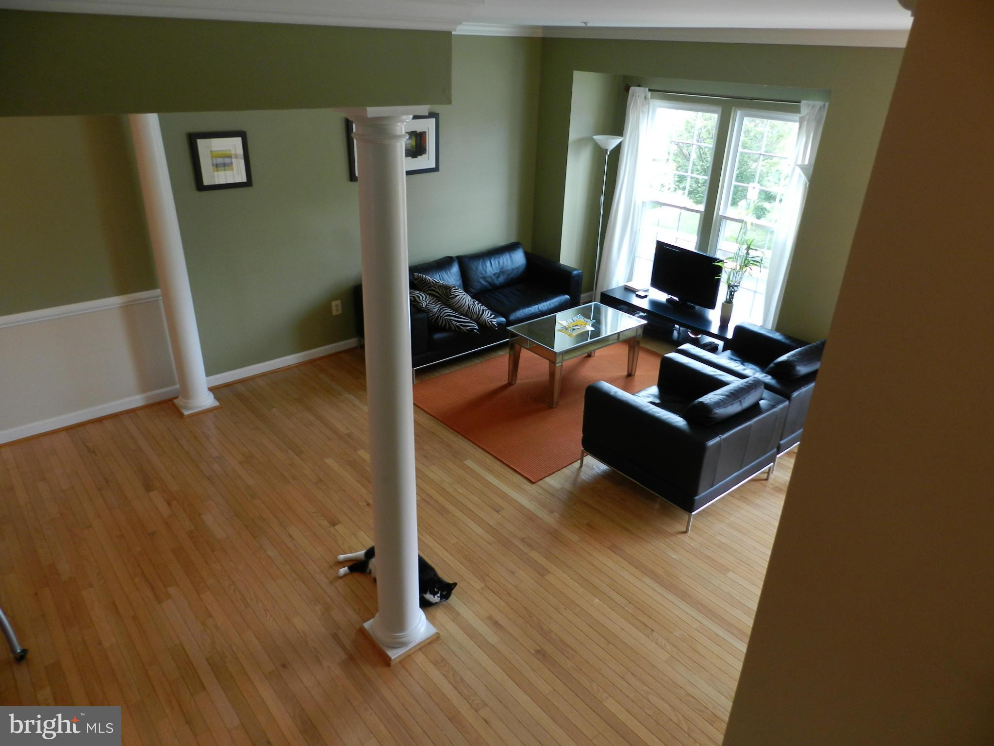 14113 Parker Farm Way Silver Spring, MD 20906 - Photo 9 of 29 Living Room