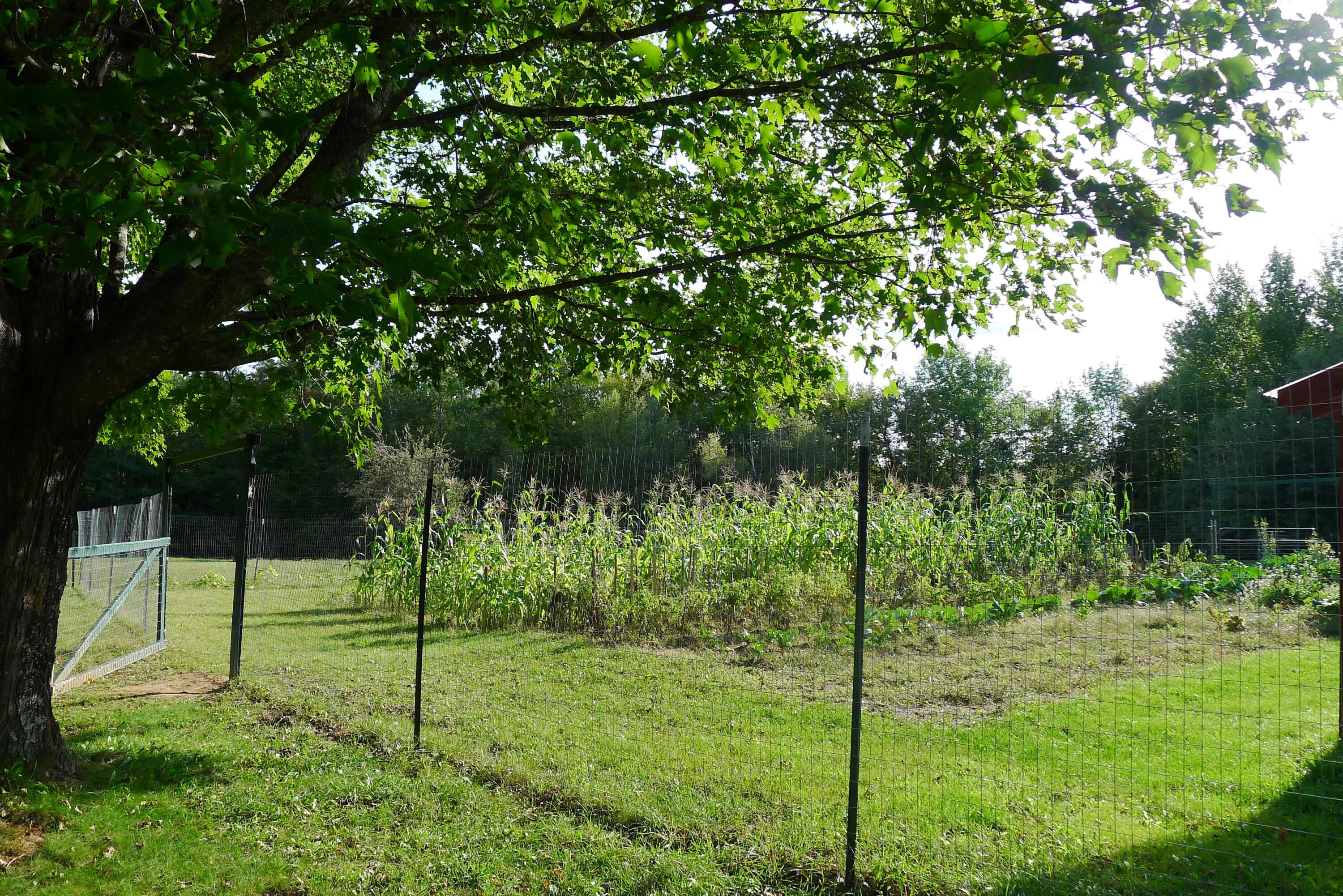40 Pulsifer Road Peru, ME 04290 - Photo 49 of 60 Do you garden?