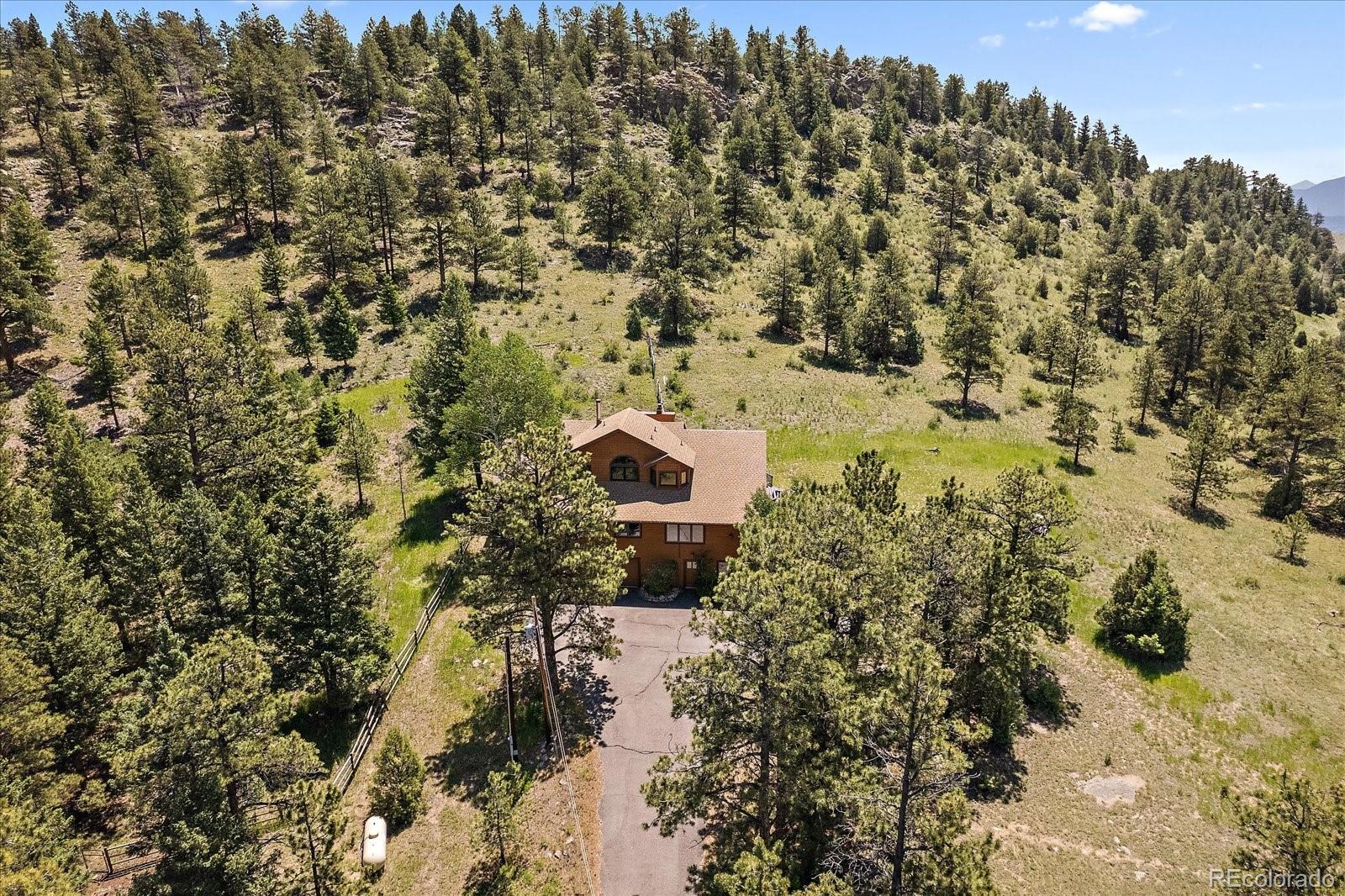 14482 Jubilee Trail Pine, CO 80470 - Photo 37 of 40 a view of a bunch of trees and bushes