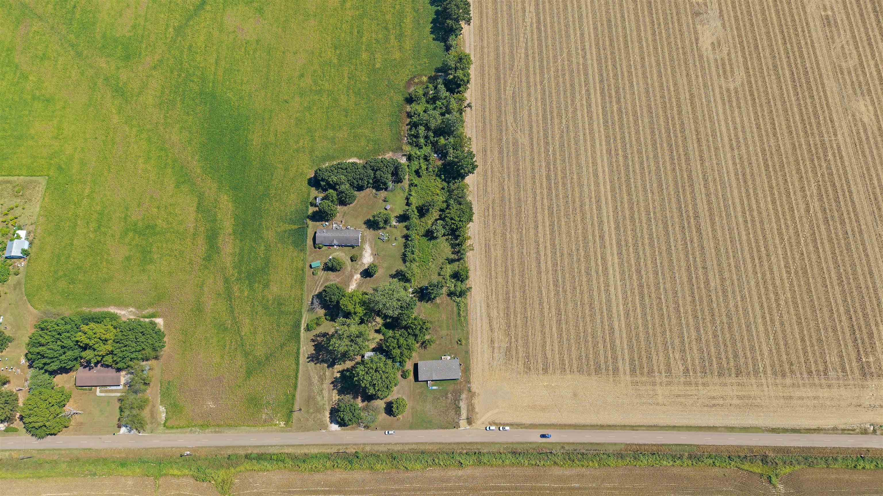 664 Rialto Road Covington, TN 38019 - Photo 22 of 24 Expansive land parcel featuring open fields, a tree line, and visible road frontage