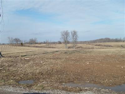105 Escondida Road Paris, KY 40361 - Photo 6 of 10 Photo 6