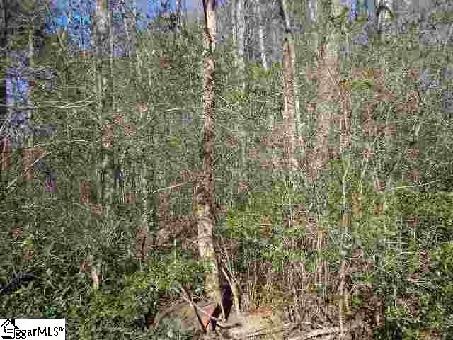 0 Crenshaw Street Pendleton, SC 29670 - Photo 6 of 8