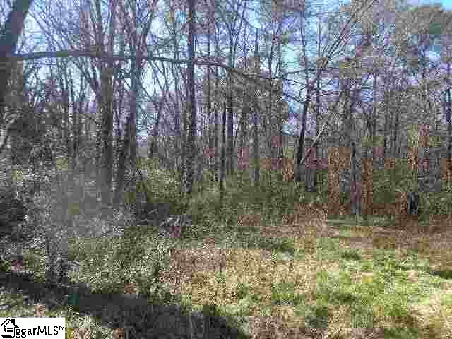 0 Crenshaw Street Pendleton, SC 29670 - Photo 7 of 8
