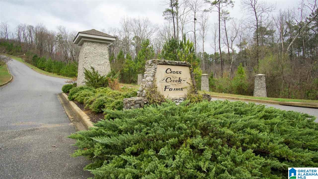 519 Cross Rdg Lane Odenville, AL 35120 - Photo 34 of 34