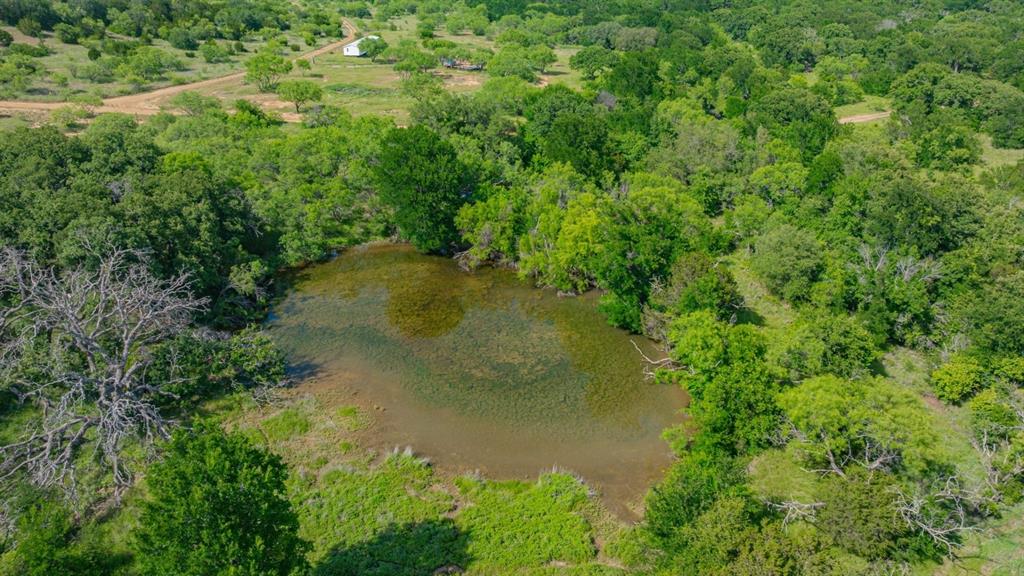 136 Moose Trail Ranger, TX 76470 - Photo 6 of 40 a view of a garden