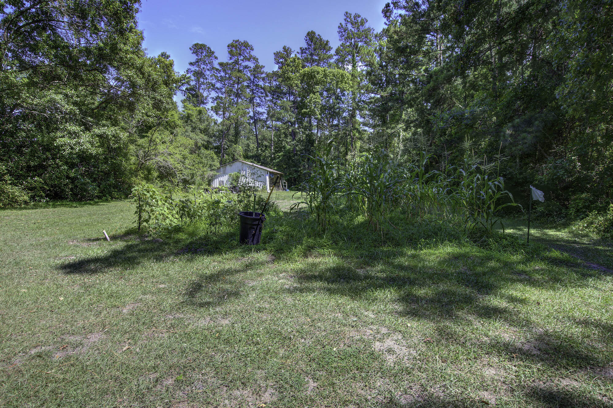 633 Country Club Road Andrews, SC 29510 - Photo 63 of 71 633 (65)