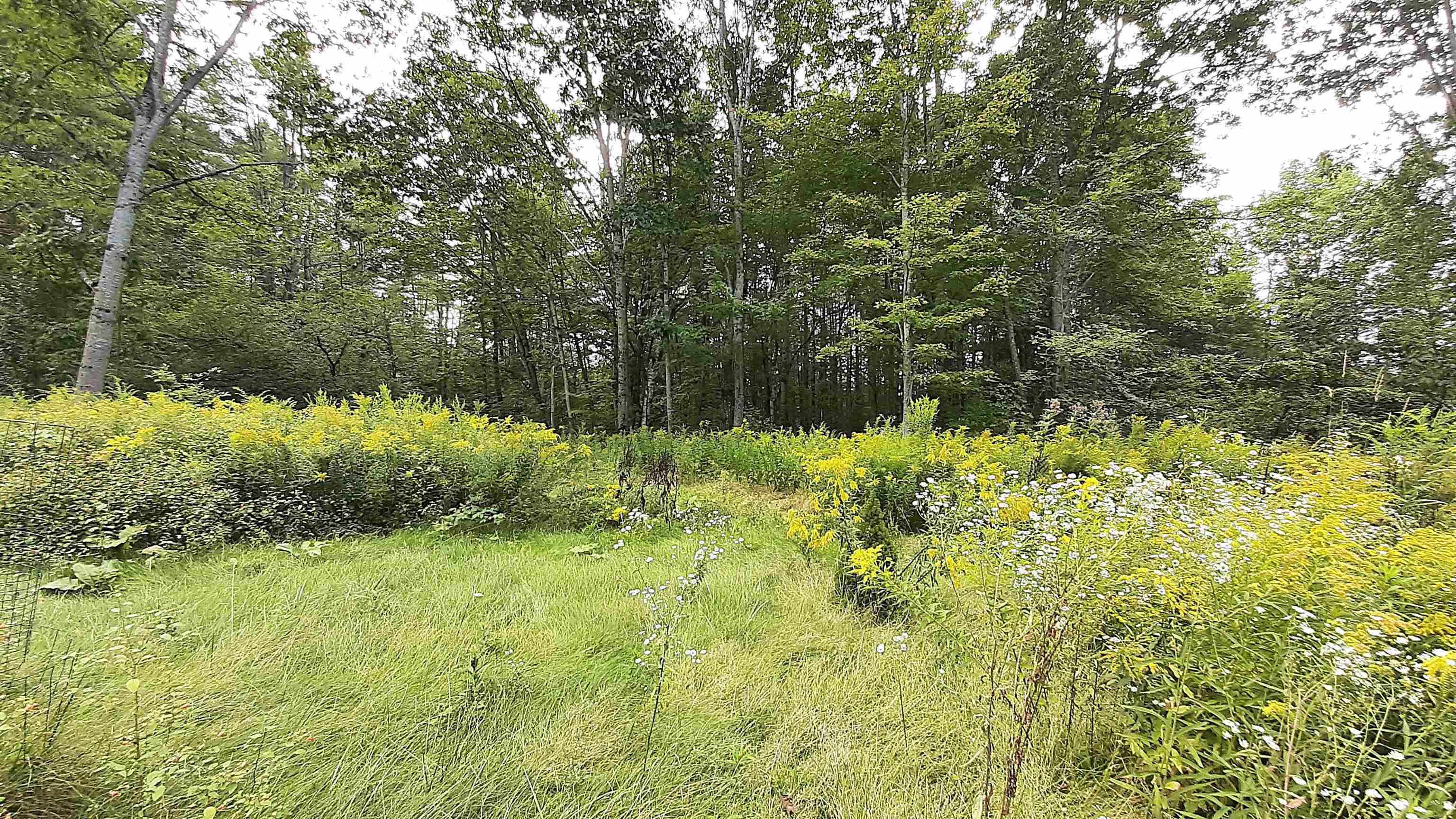 1150 Tarbell Hill Road Cavendish, VT 05142 - Photo 27 of 33