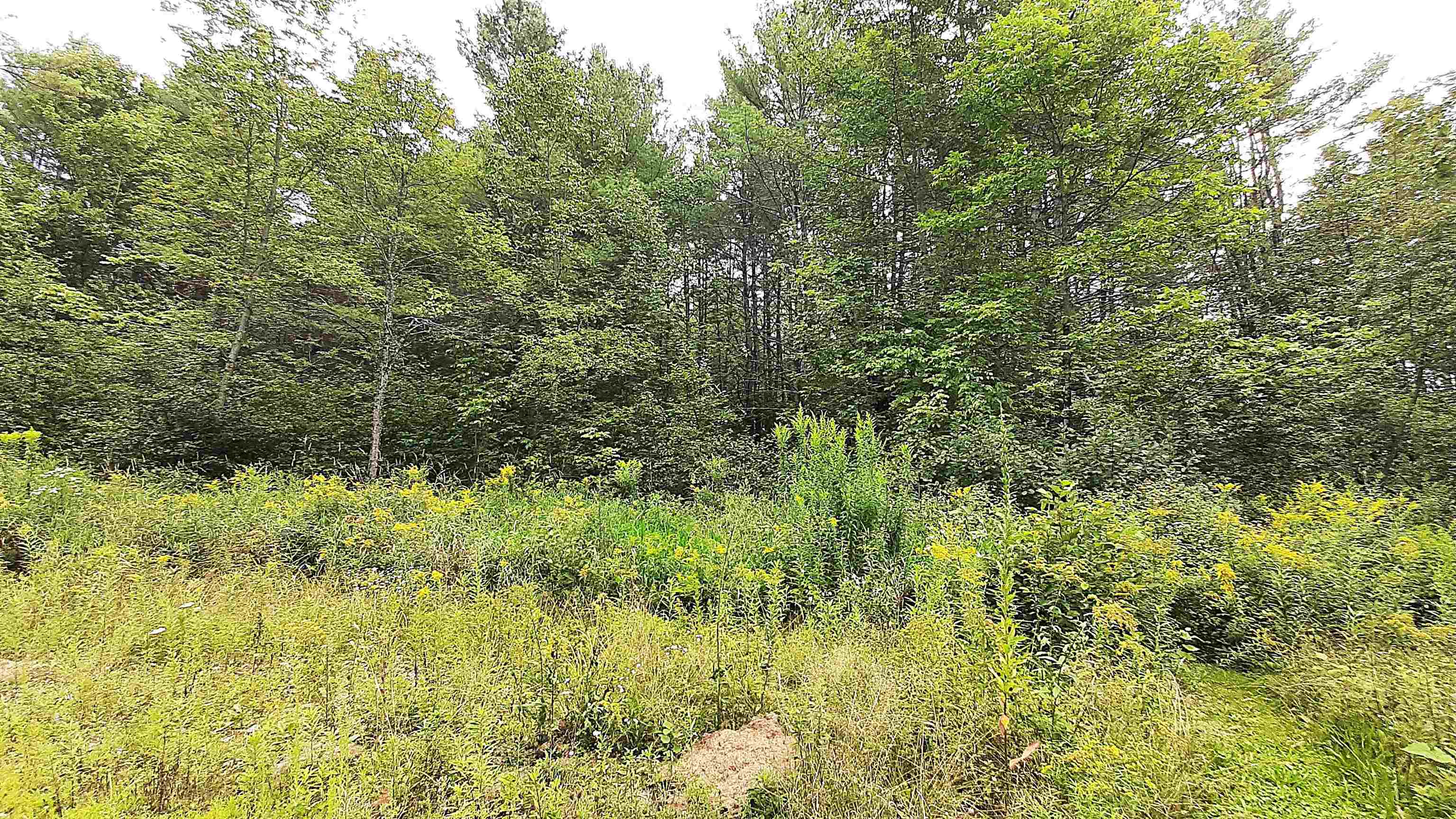 1150 Tarbell Hill Road Cavendish, VT 05142 - Photo 28 of 33