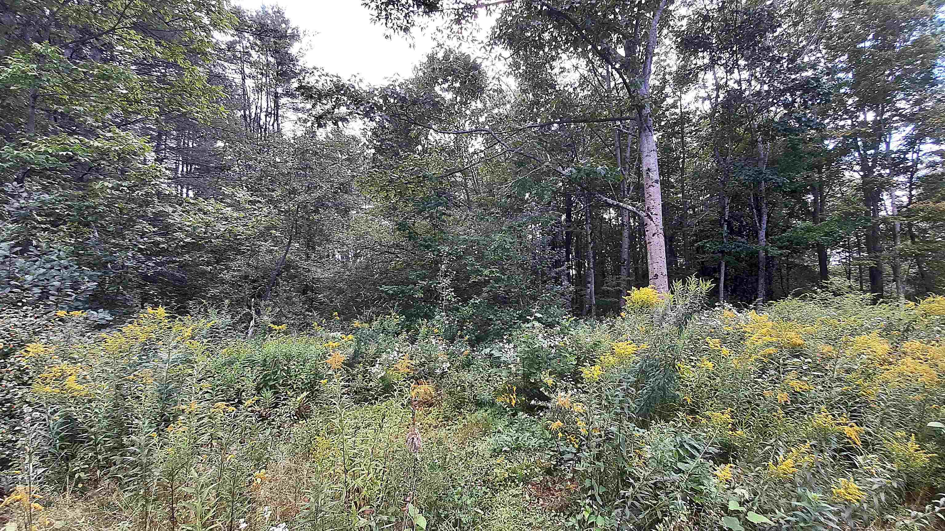 1150 Tarbell Hill Road Cavendish, VT 05142 - Photo 29 of 33