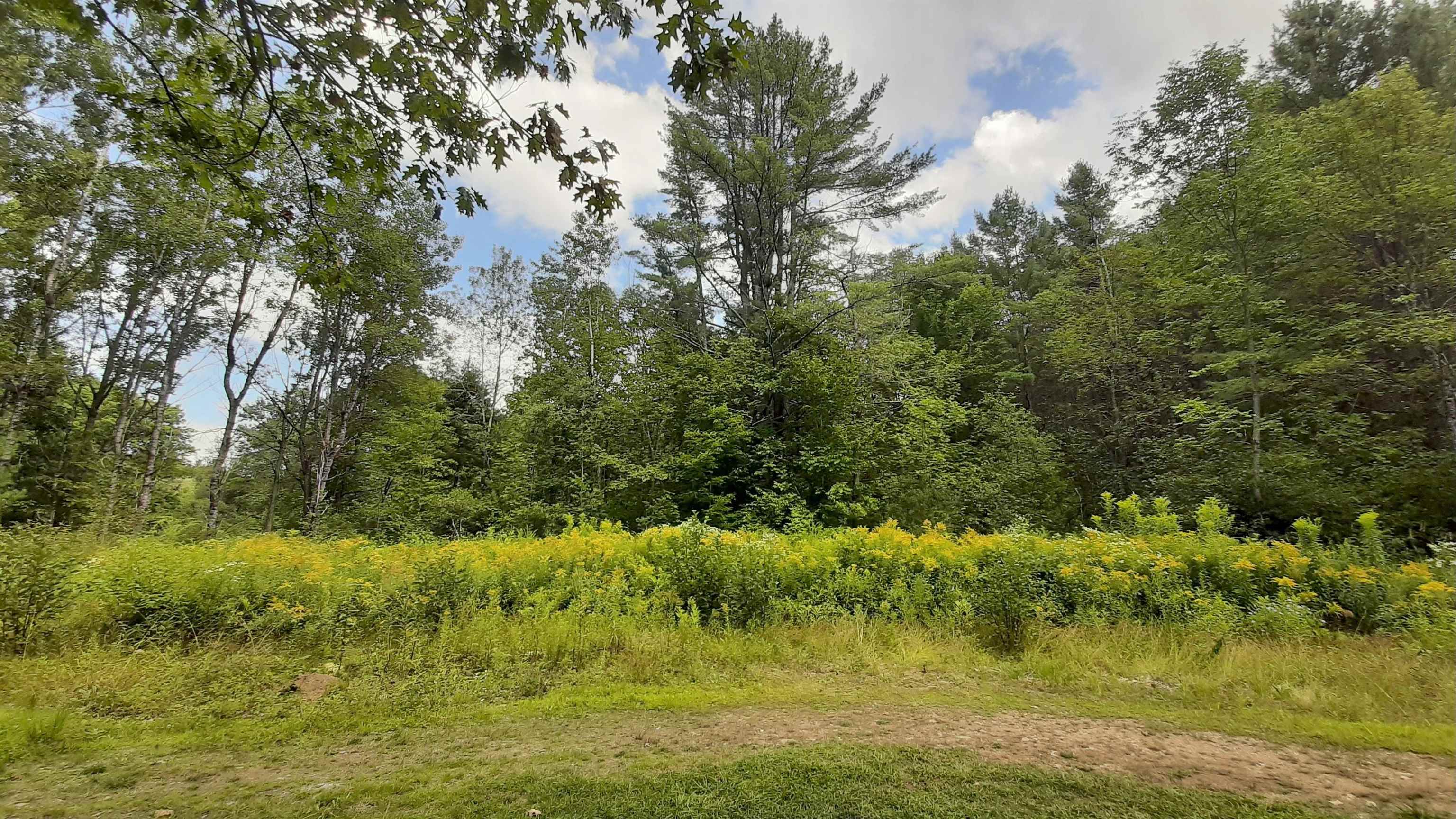 1150 Tarbell Hill Road Cavendish, VT 05142 - Photo 30 of 33