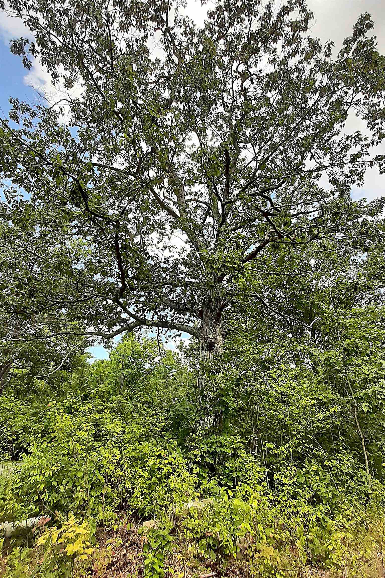 1150 Tarbell Hill Road Cavendish, VT 05142 - Photo 31 of 33