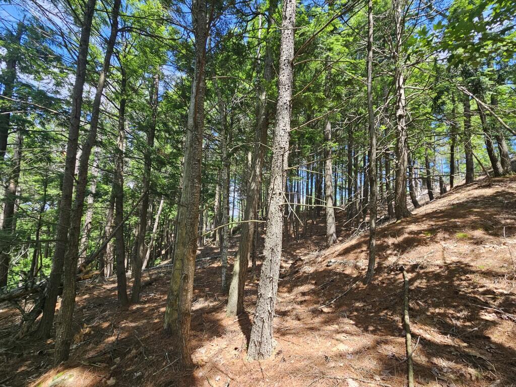 Multiple Quaker Ridge Road Leeds, ME 04263 - Photo 17 of 79 20260624_134753