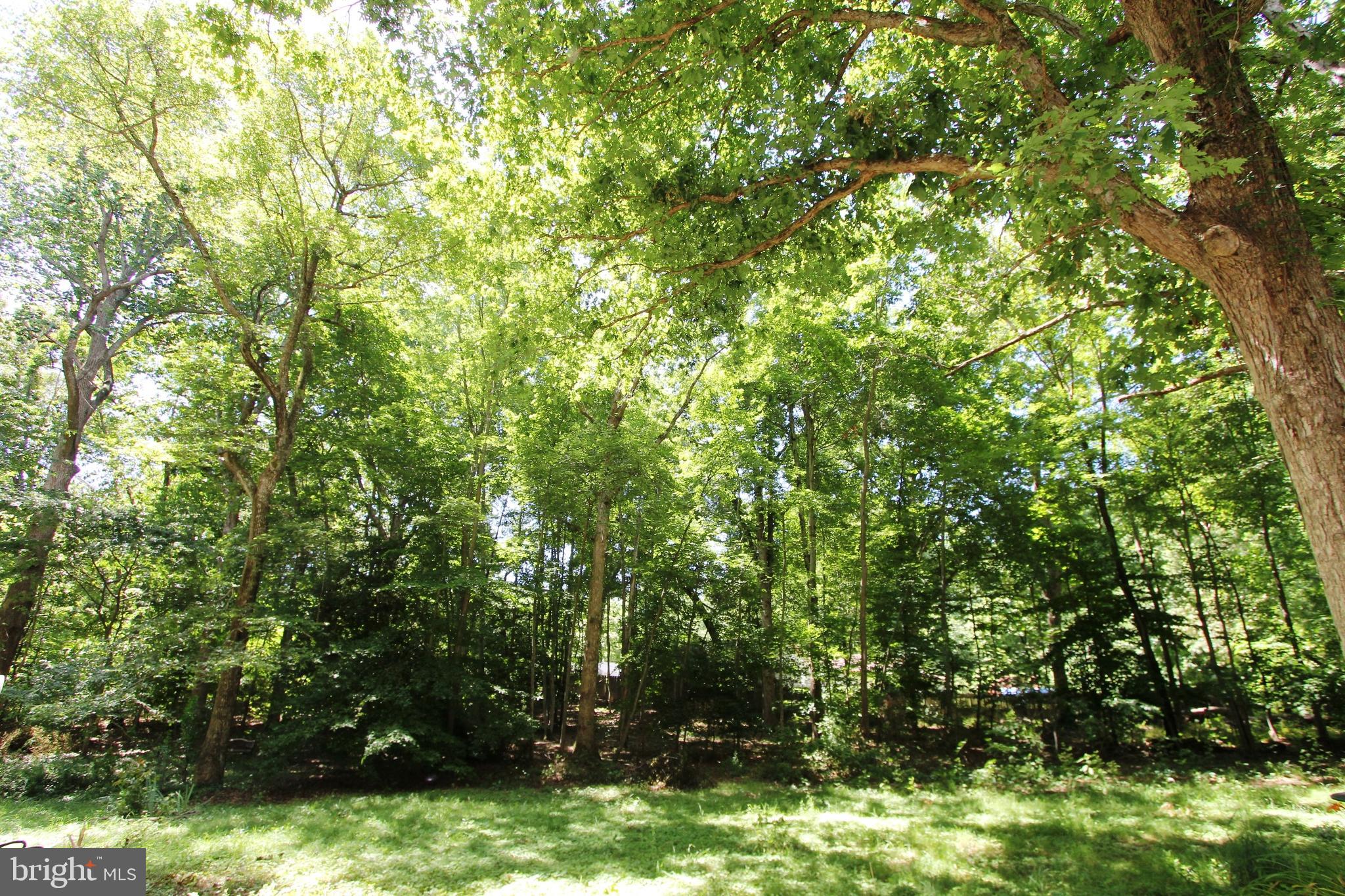 6157 Mason Springs Road Indian Head, MD 20640 - Photo 27 of 36 Front yard
