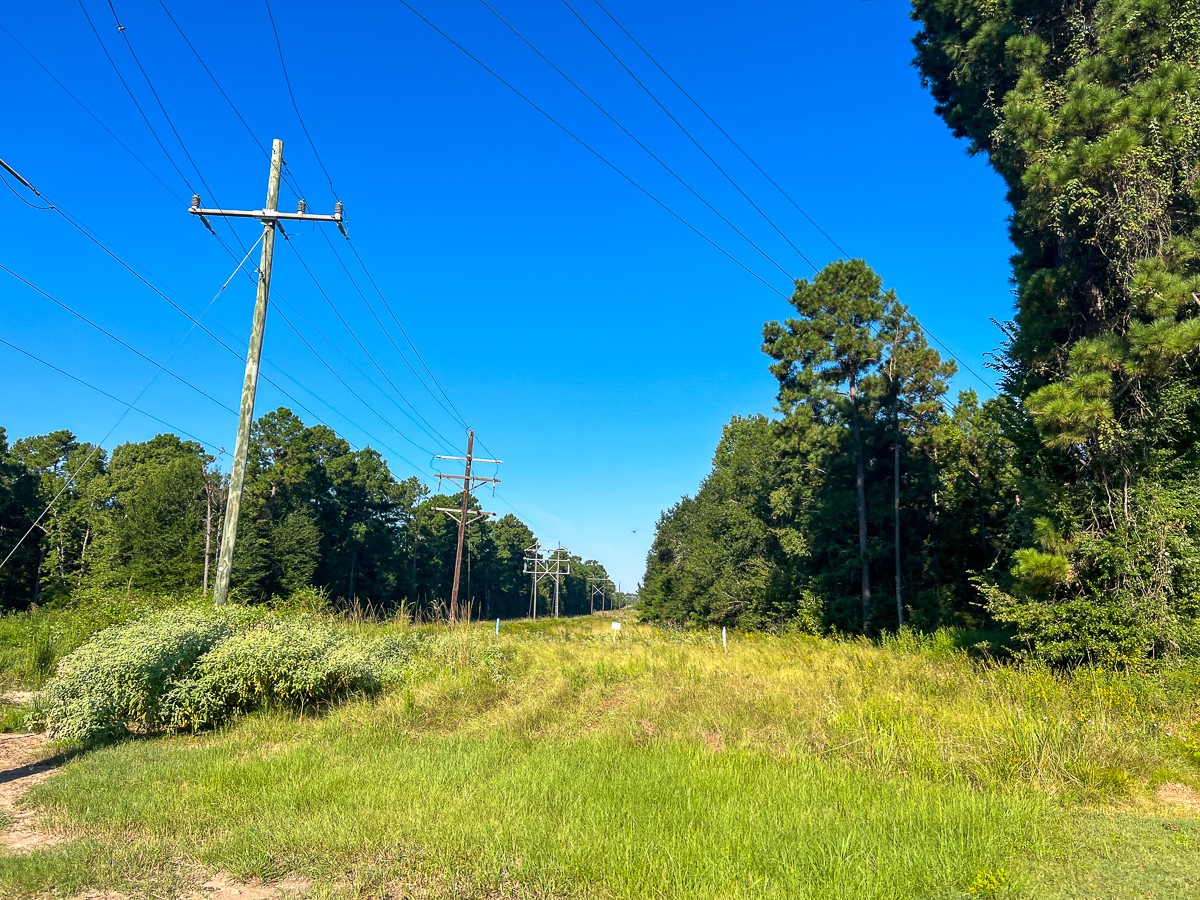 1 Fm 247 Midway, TX 75852 - Photo 10 of 12 a garden view