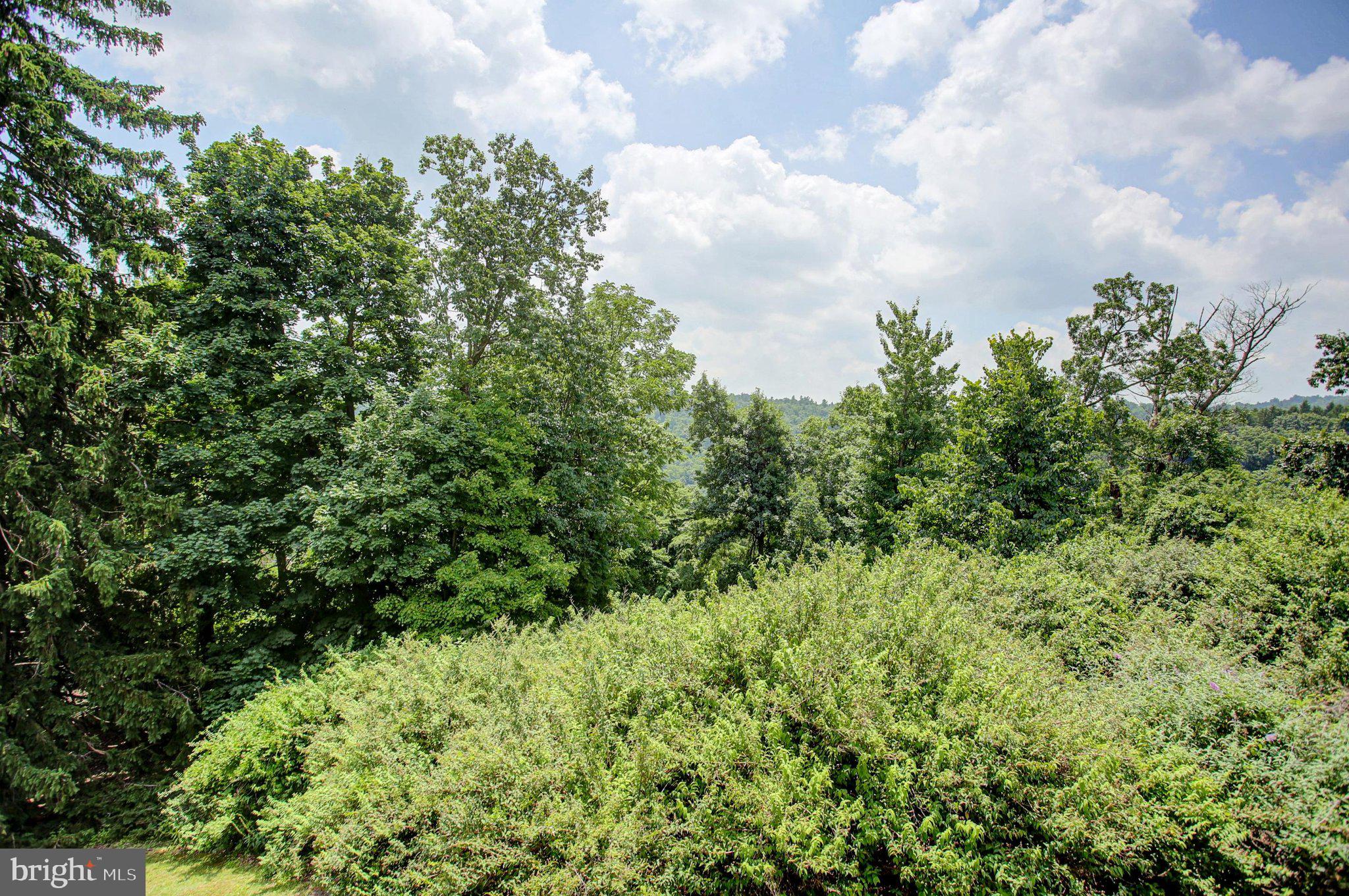 12494 Lower Monterey Circle Blue Ridge Summit, PA 17214 - Photo 61 of 68