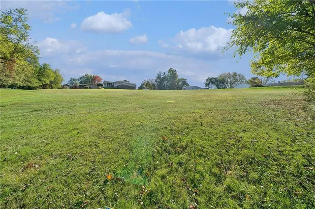 a view of a field with an ocean