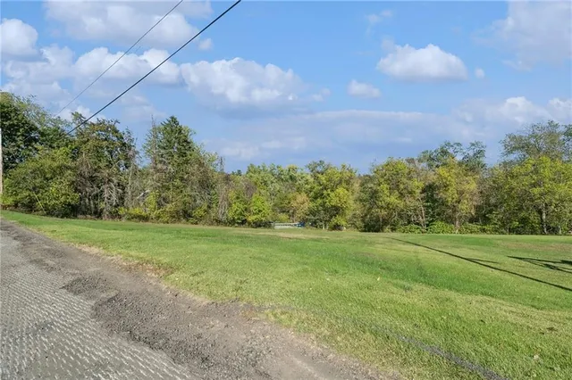 a view of a big yard with a large trees