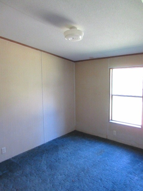 22 R L Graham Street Panacea, FL 32346 - Photo 12 of 18 Gallery Image 12