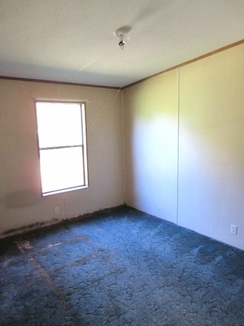 22 R L Graham Street Panacea, FL 32346 - Photo 15 of 18 Gallery Image 15
