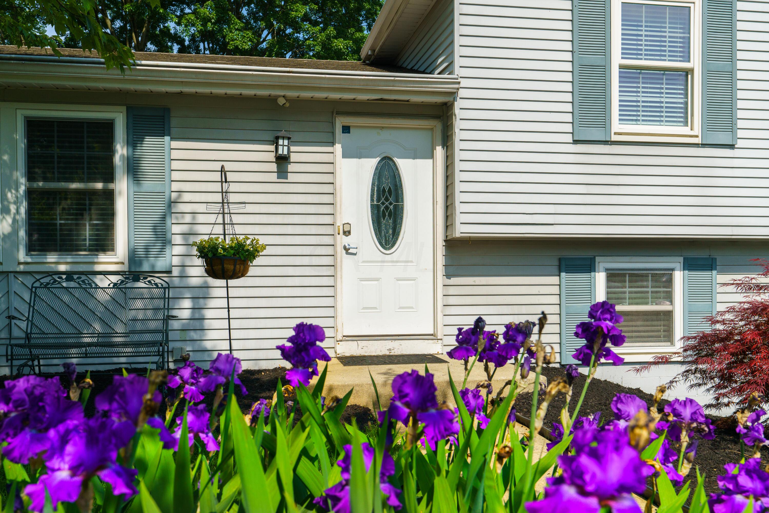 6337 South Sunbury Road Westerville, OH 43081 - Photo 2 of 28 Perenial Flowers
