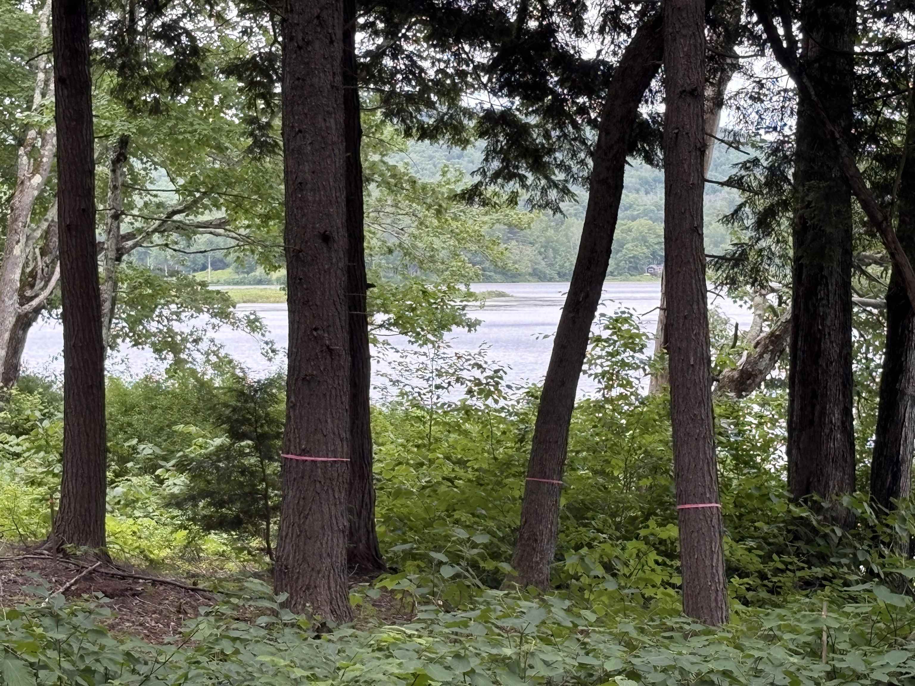 340 Tyanoga Road Whitingham, VT 05361 - Photo 1 of 5