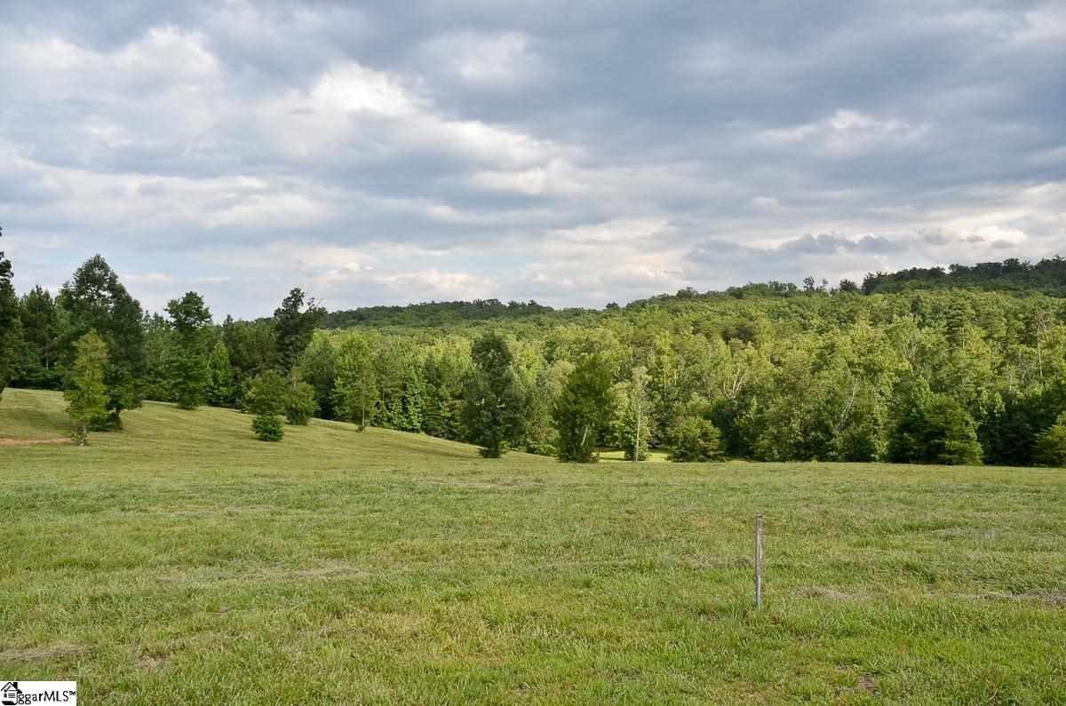 4651 Howe Road, Unit LOT DE Landrum, SC 29356 - Photo 1 of 35