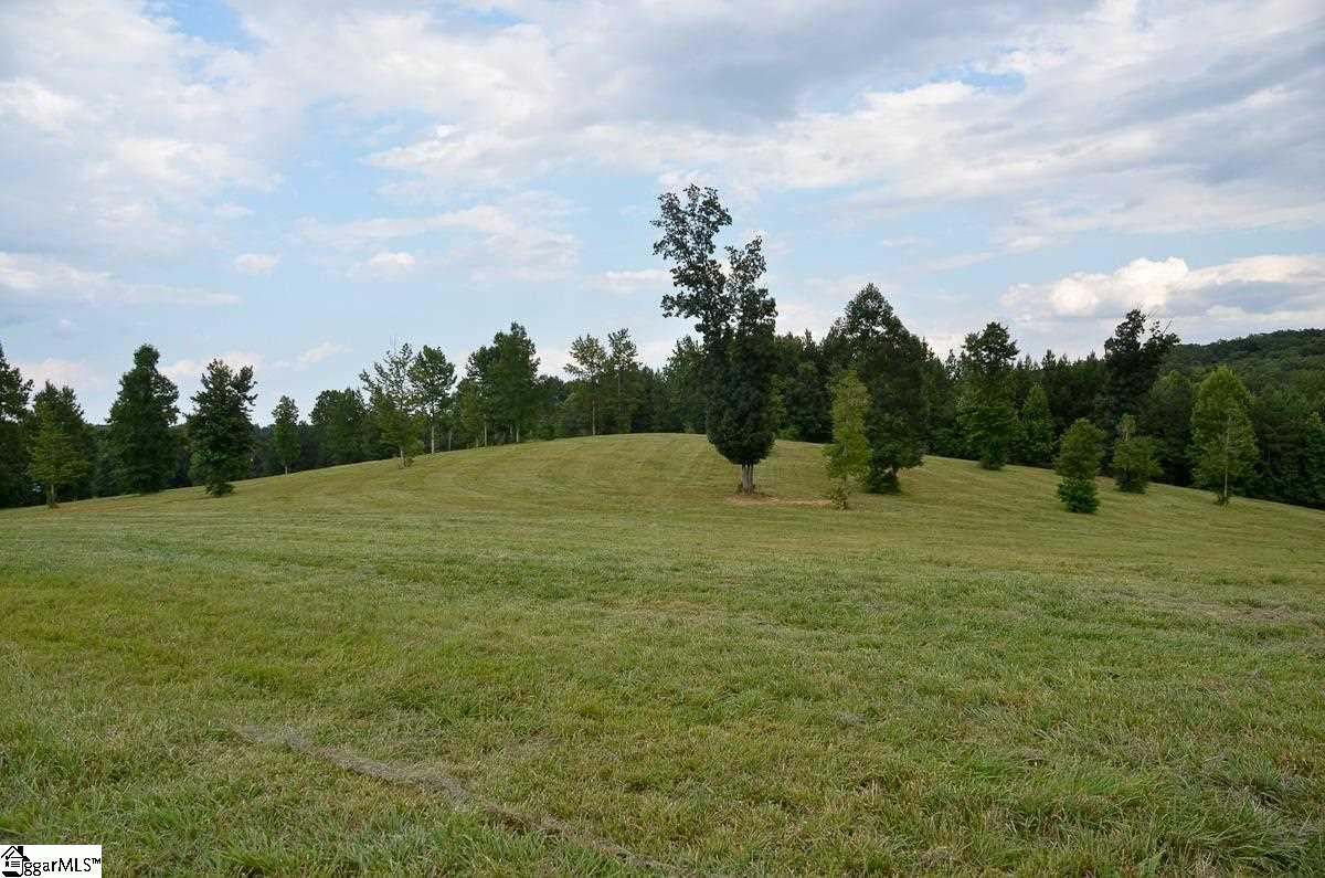 4651 Howe Road, Unit LOT DE Landrum, SC 29356 - Photo 12 of 35