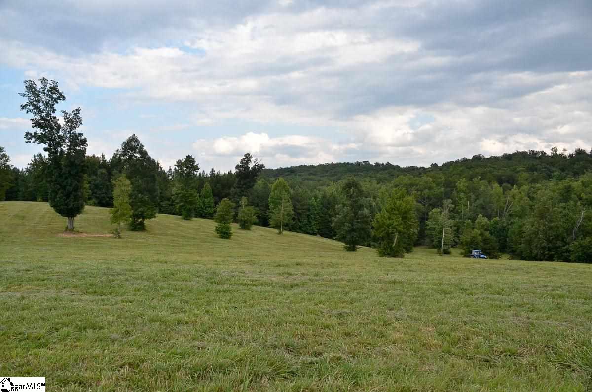 4651 Howe Road, Unit LOT DE Landrum, SC 29356 - Photo 13 of 35
