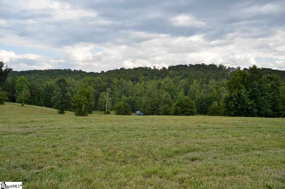 4651 Howe Road, Unit LOT DE Landrum, SC 29356 - Photo 14 of 35
