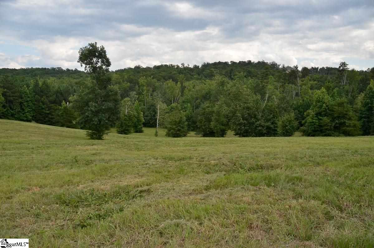4651 Howe Road, Unit LOT DE Landrum, SC 29356 - Photo 15 of 35