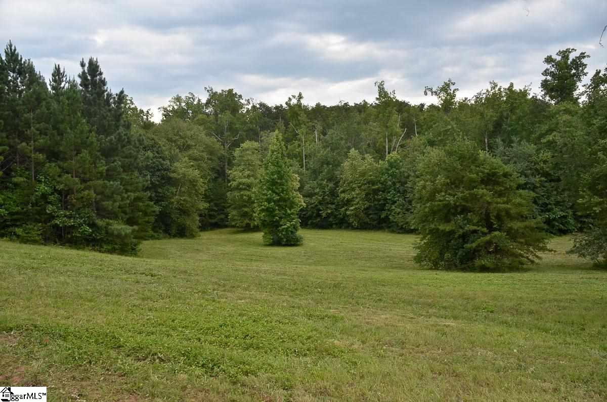 4651 Howe Road, Unit LOT DE Landrum, SC 29356 - Photo 16 of 35