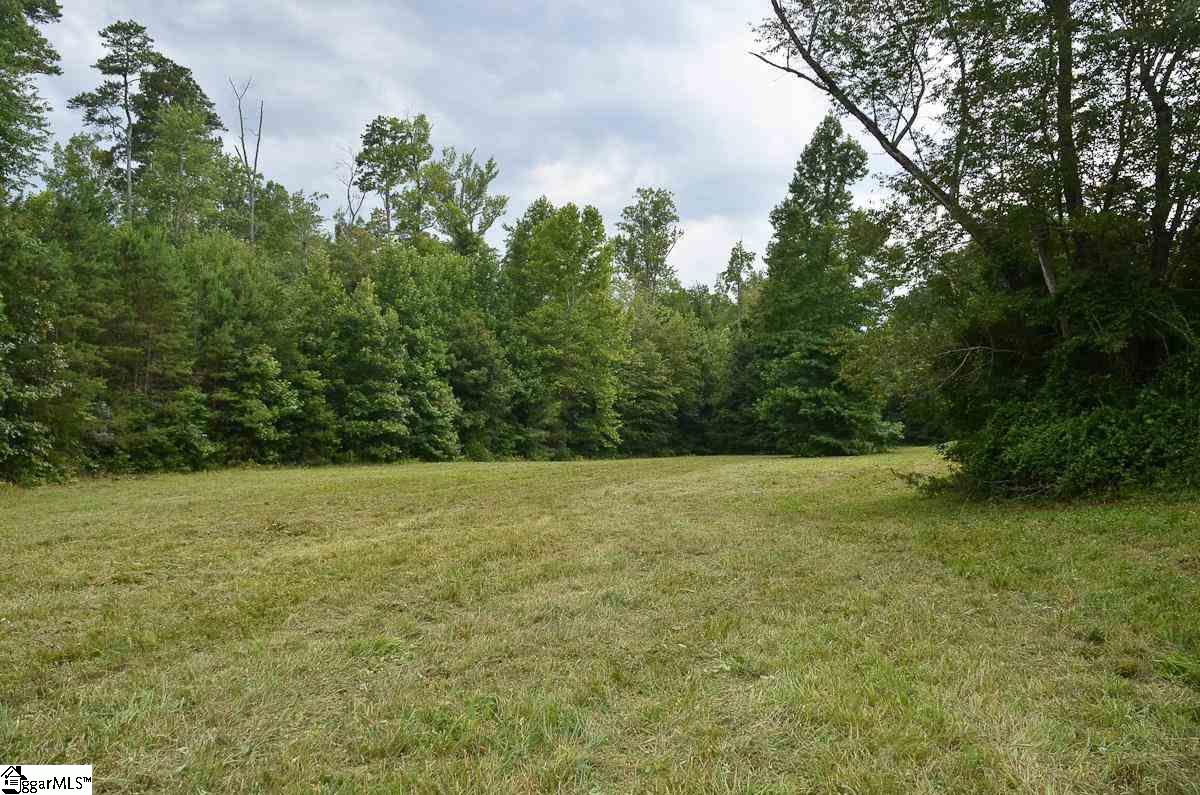 4651 Howe Road, Unit LOT DE Landrum, SC 29356 - Photo 17 of 35