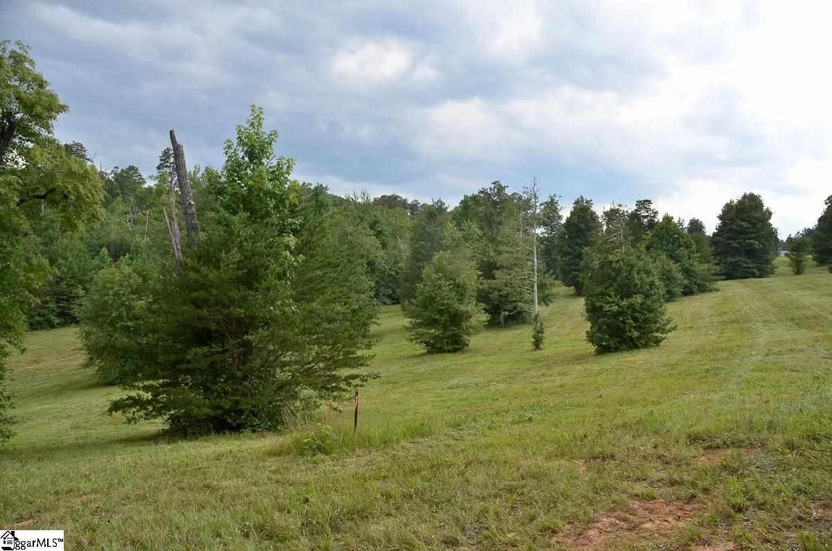4651 Howe Road, Unit LOT DE Landrum, SC 29356 - Photo 19 of 35