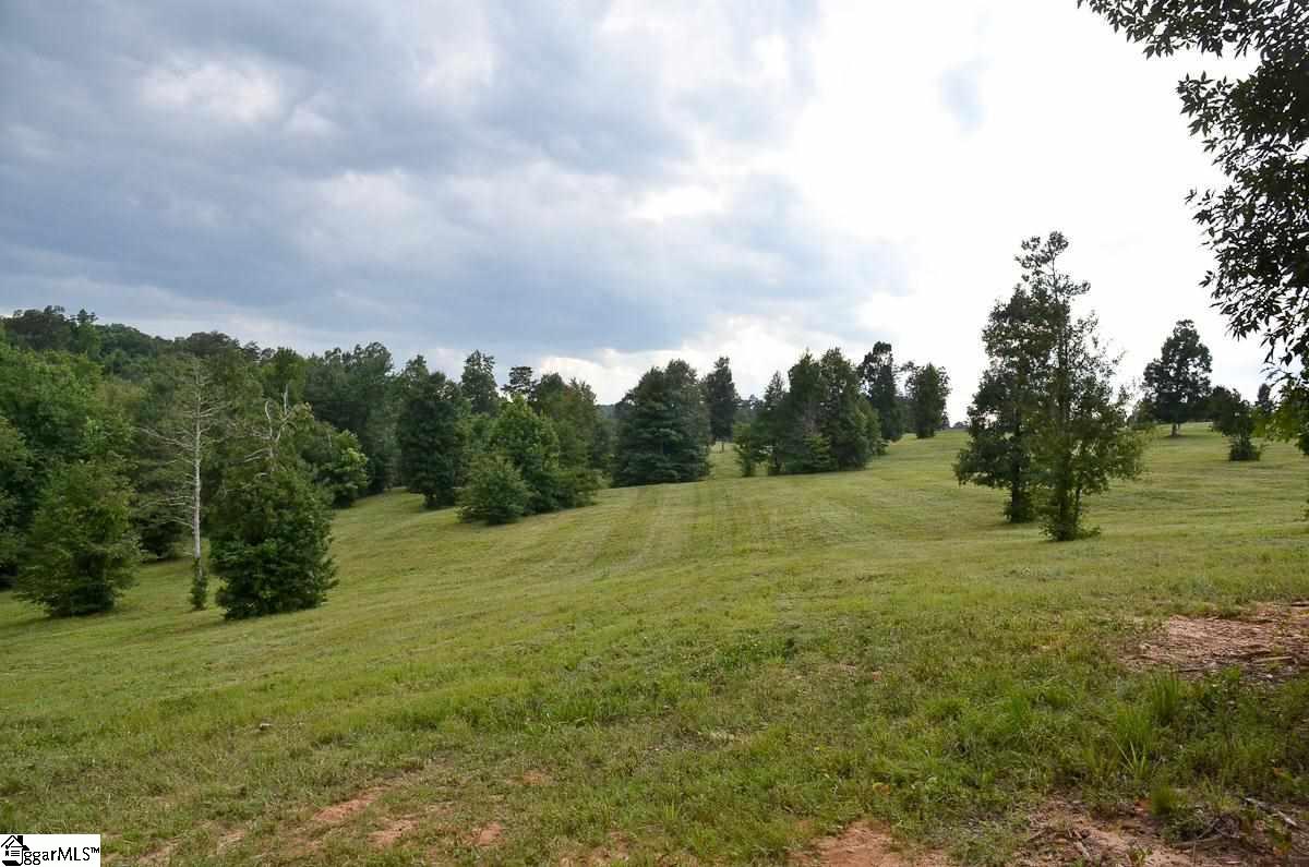 4651 Howe Road, Unit LOT DE Landrum, SC 29356 - Photo 20 of 35