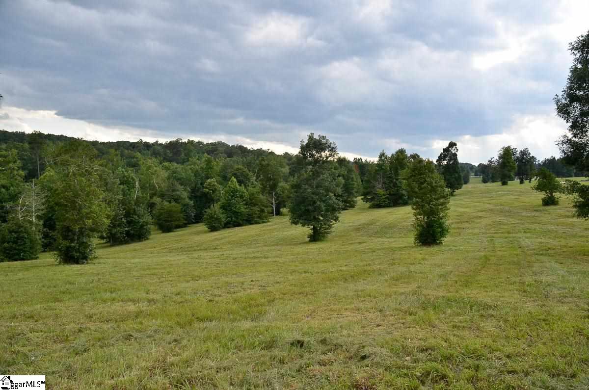 4651 Howe Road, Unit LOT DE Landrum, SC 29356 - Photo 21 of 35