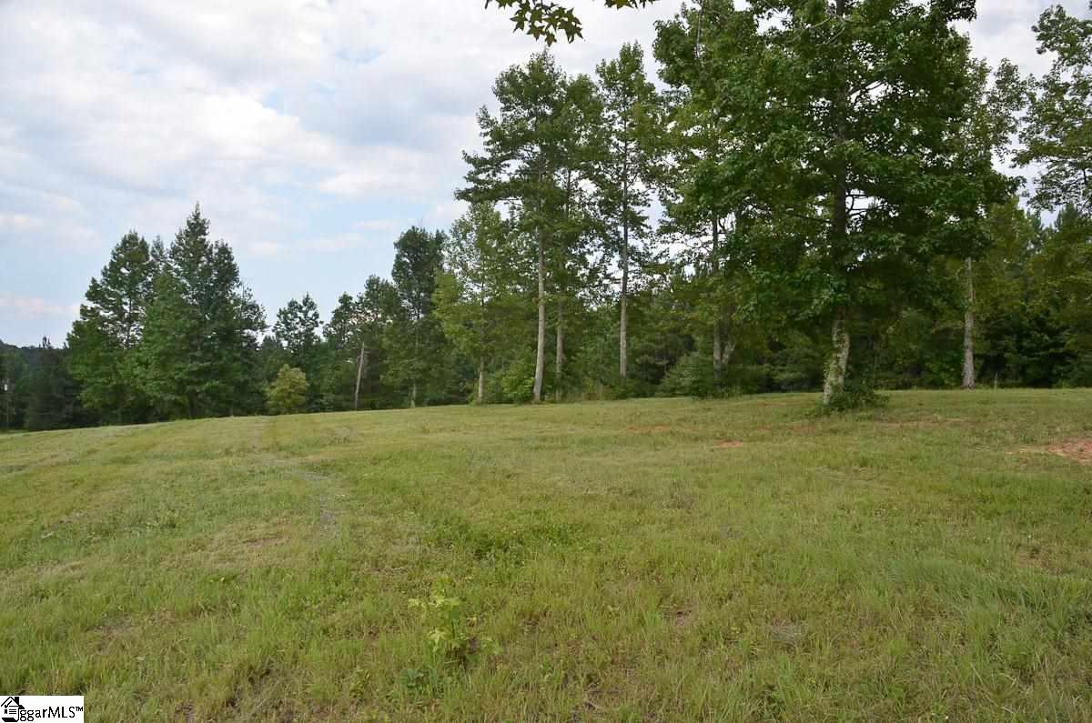 4651 Howe Road, Unit LOT DE Landrum, SC 29356 - Photo 22 of 35