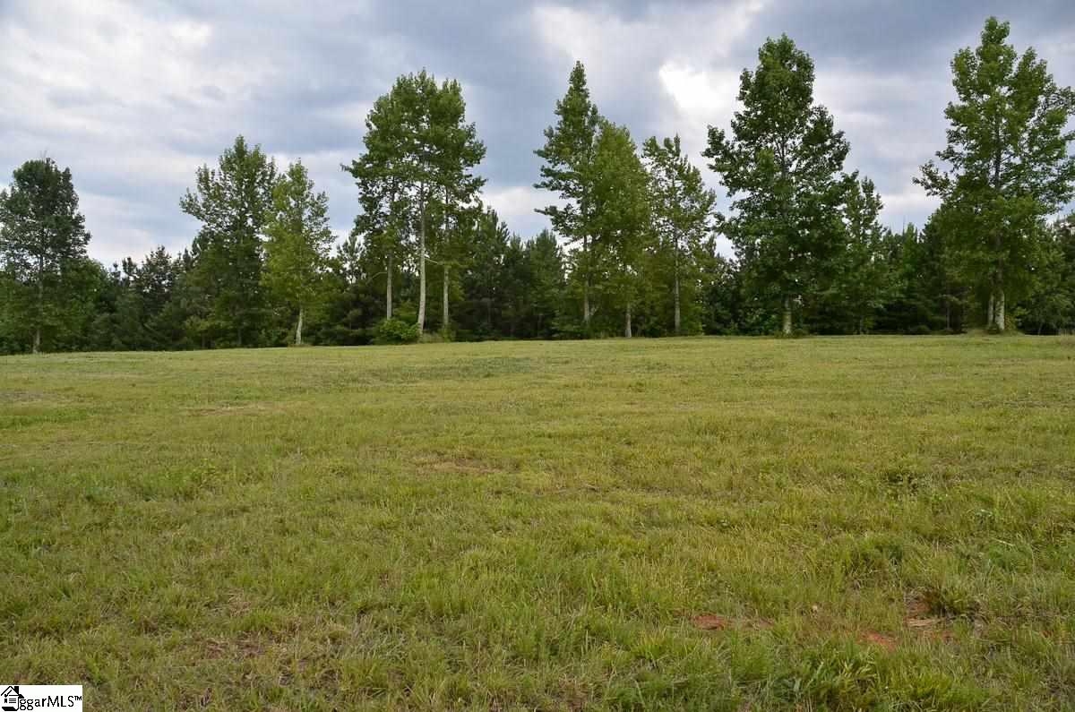 4651 Howe Road, Unit LOT DE Landrum, SC 29356 - Photo 23 of 35