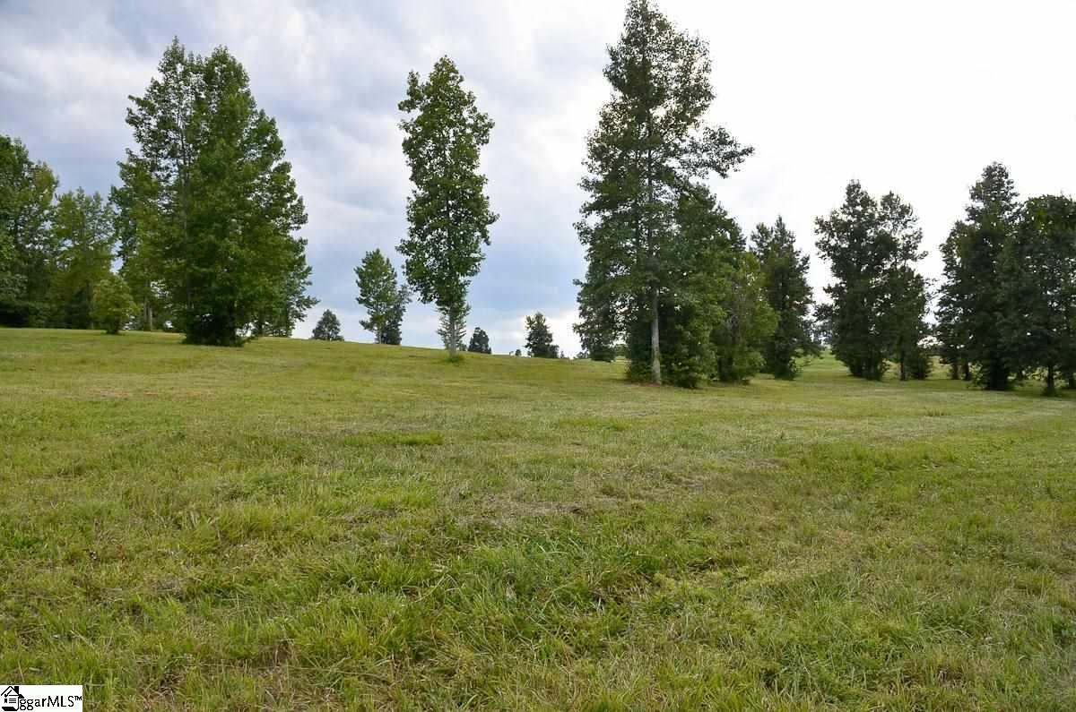 4651 Howe Road, Unit LOT DE Landrum, SC 29356 - Photo 24 of 35